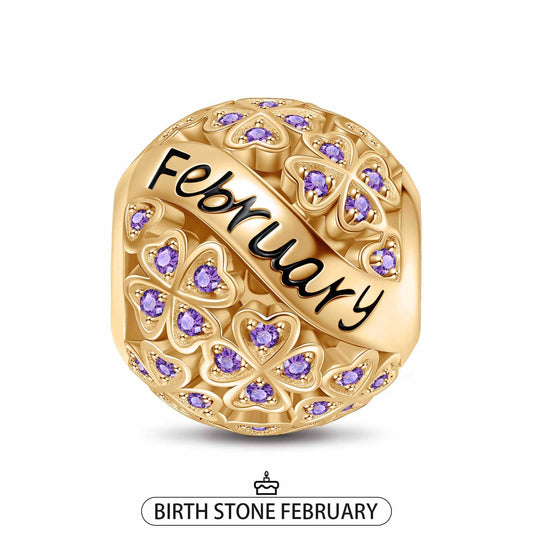 gon- February Birthstone Tarnish-resistant Silver Charms With Enamel In 14K Gold Plated