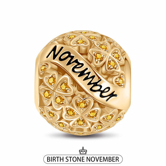 gon- November Birthstone Tarnish-resistant Silver Charms With Enamel In 14K Gold Plated