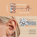 Christmas Exclusive: Spend Over $350 In A Single Purchase To Get This Sterling Silver Tree of Life Necklace and Earrings Set In Rose Gold Plated For FREE - (Ships With Order, No Need To Add To Cart)