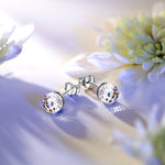 Halloween Treats Exclusive: Spend Over $99 In A Single Purchase To Get This Sterling Silver Prismatic Wonder Gem Earrings In White Gold Plated For FREE - (Ships With Order, No Need To Add To Cart)