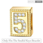 Number Five Tarnish-resistant Silver Rectangular Charms In 14K Gold Plated