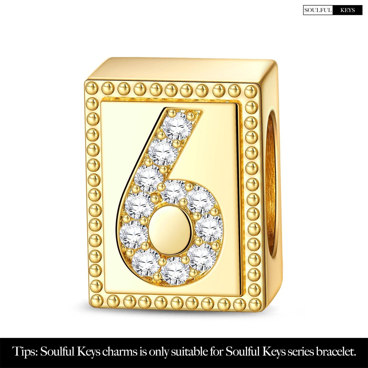Number Six Tarnish-resistant Silver Rectangular Charms In 14K Gold Plated