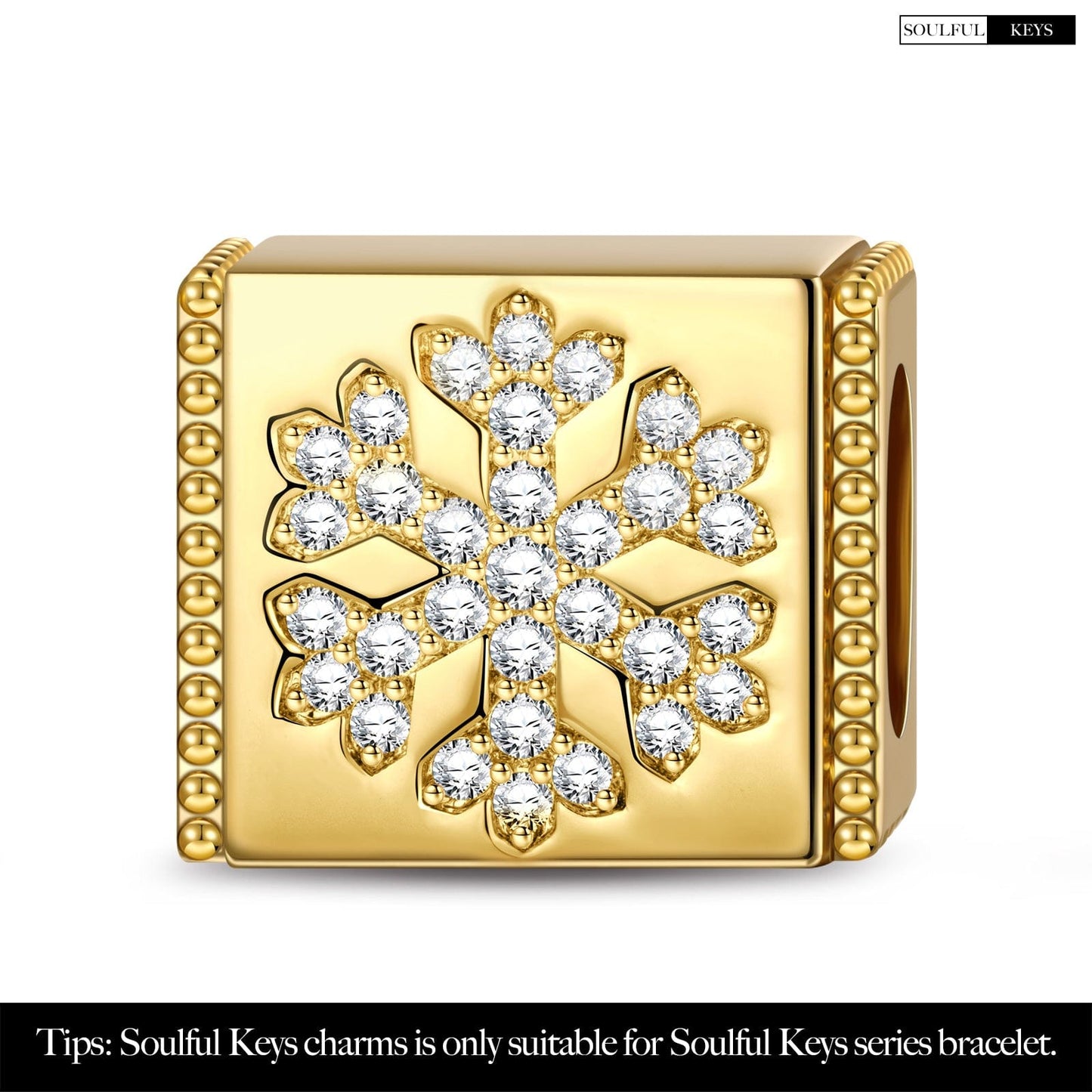 Snowflake Tarnish-resistant Silver Rectangular Charms In 14K Gold Plated