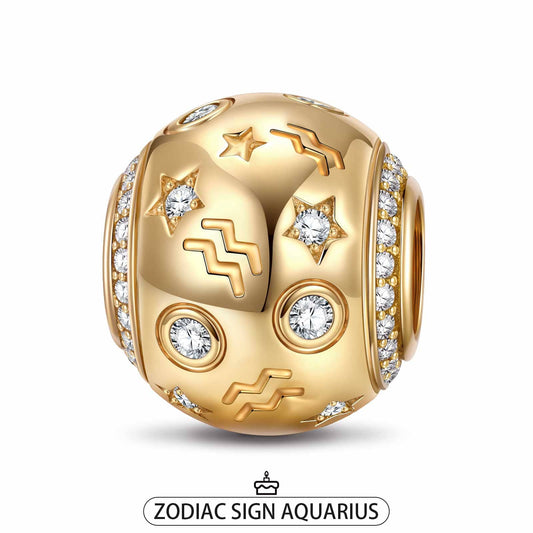 gon- Aquarius Tarnish-resistant Silver Constellation Charms In 14K Gold Plated