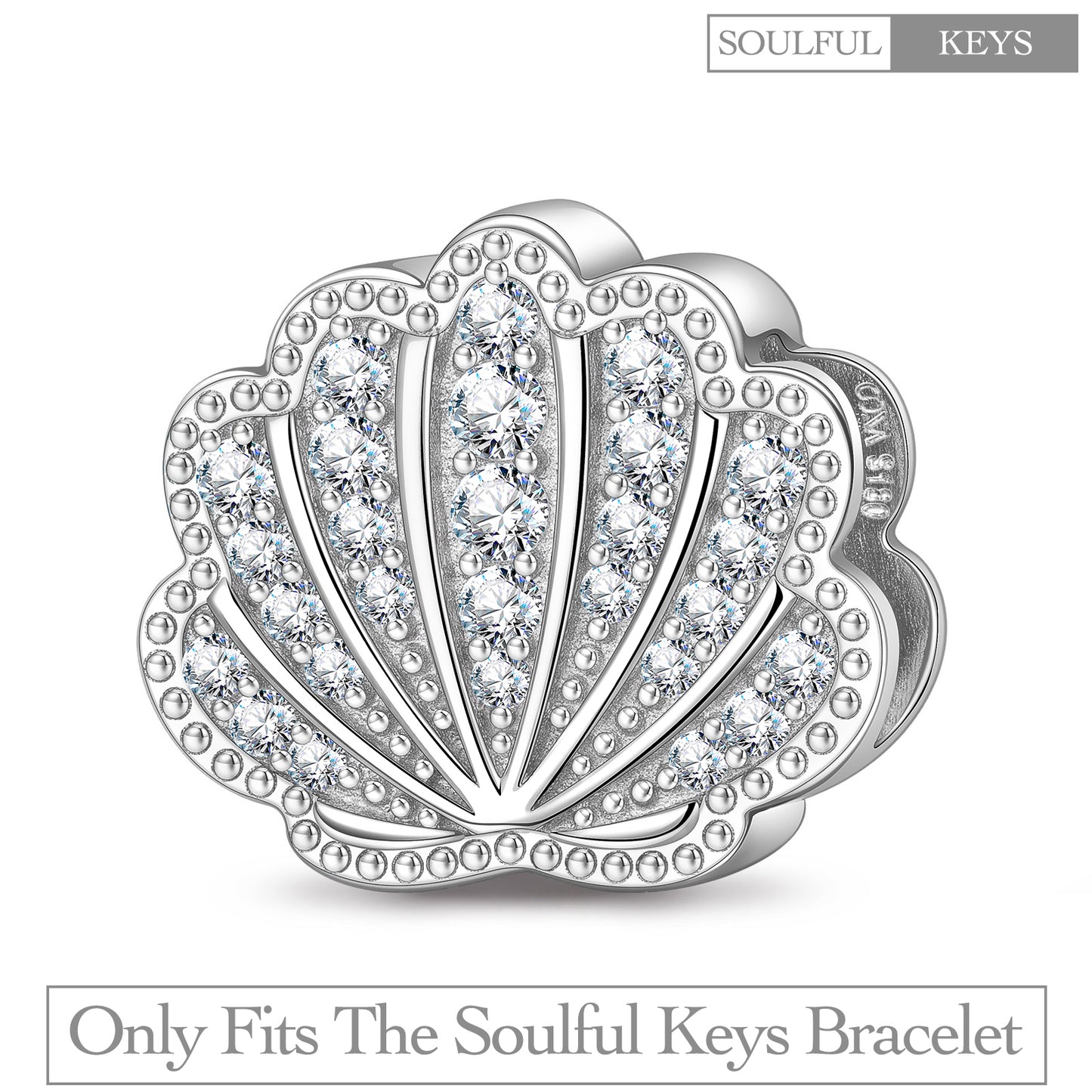 Gleaming Seashell Tarnish-resistant Silver Rectangular Charms In White Gold Plated