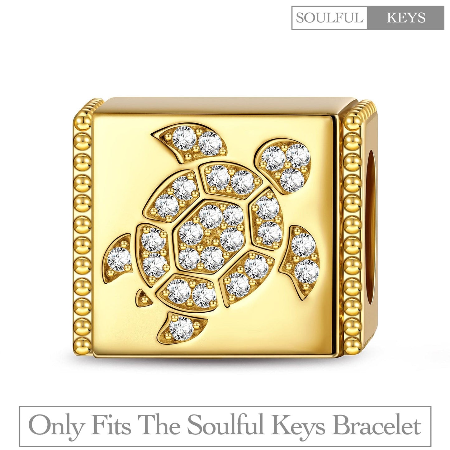 Serene Sea Turtle Tarnish-resistant Silver Rectangular Charms In 14K Gold Plated