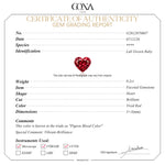 2026 Global Soccer Championship Lab-Created Ruby Heart Dangle Charm in Tarnish-Resistant Silver with 14K Gold Plating