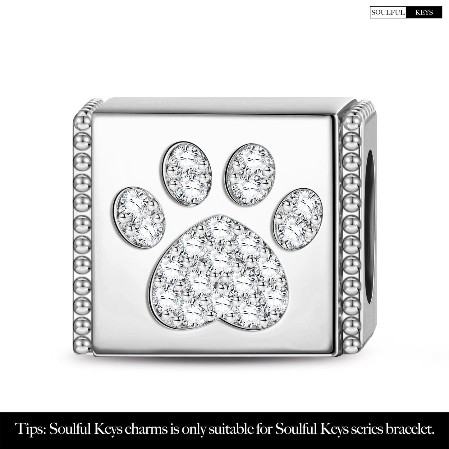 Sterling Silver Lovely Paw Rectangular Charms In White Gold Plated
