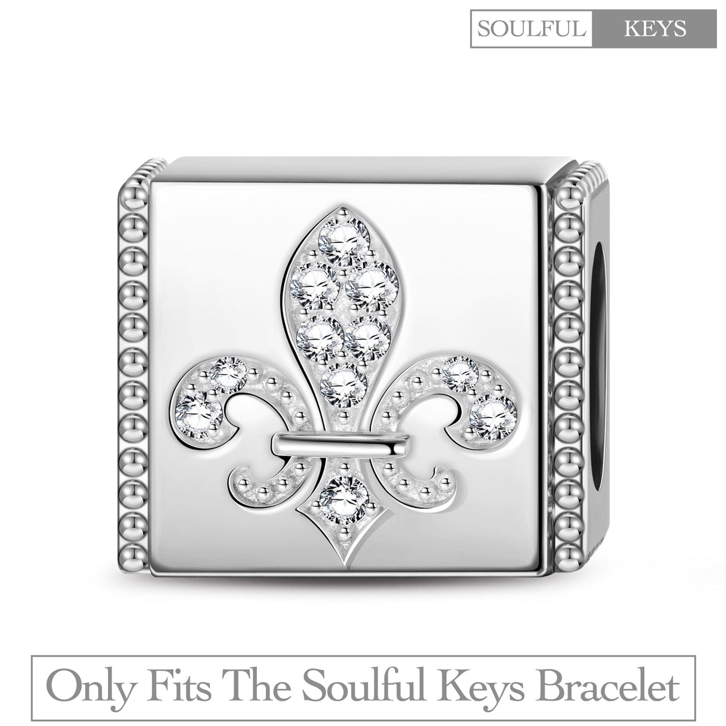 Sterling Silver Iris Rectangular Charms In White Gold Plated