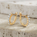 Tarnish-resistant Silver 5A Cubic Zirconia Classic Hoop Earrings with Sterling Silver Ear Post In 14K Gold Plated