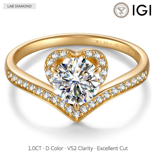 gona- IGI Certified Lab-Grown Round Brilliant Cut Diamond - Pave Classic Engagement Ring 14K Yellow Gold Plated (Includes IGI Certification from International Gemological Institute)