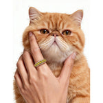 Round Brilliant Cut Fancy Vivid Yellow Lab-Certified Yellow Sapphire - Half Eternity Ring White Gold Plated (Includes GRC Certification from Gemstone Research Center)