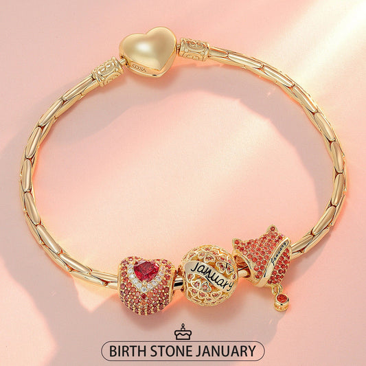 gona- Sterling Silver January Birthday Stone Charms Bracelet Set In 14K Gold Plated (Includes bracelet and all charms shown)