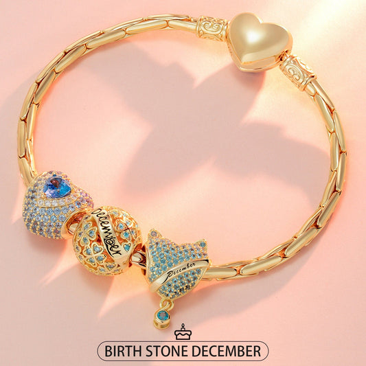 gona- Sterling Silver December Birthday Stone Charms Bracelet Set In 14K Gold Plated (Includes bracelet and all charms shown)