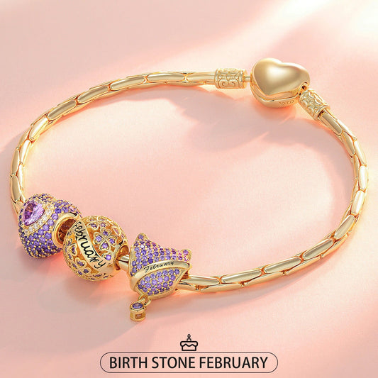 gona- Sterling Silver February Birthday Stone Charms Bracelet Set In 14K Gold Plated (Includes bracelet and all charms shown)
