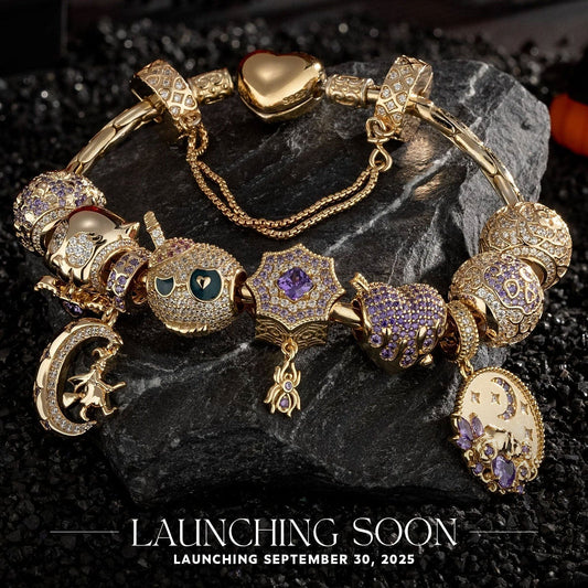 gona- Sterling Silver Mystic Midnight Charms Bracelet Set With Enamel In 14K Gold Plated (Includes bracelet and all charms shown)
