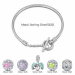 Sterling Silver Love and Luck Charms Bracelet Set With Enamel In White Gold Plated (Includes bracelet and all charms shown)